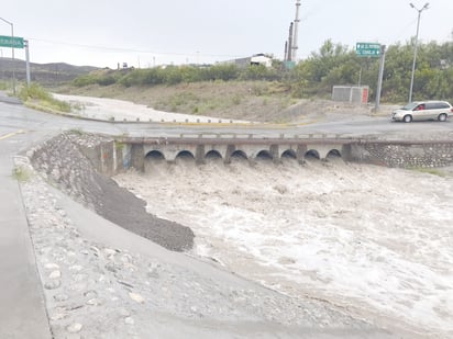 Las fuertes lluvias dejaron a los patos de Monclova sin nido 