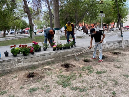 La plaza principal es reforestada por Ecología de San Buenaventura