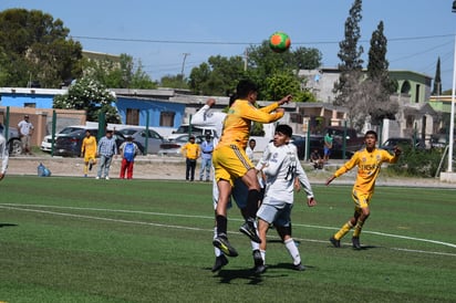 Milán enfrenta a los Halcones