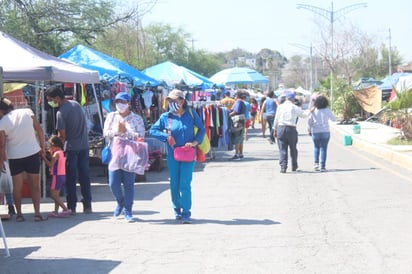 Las pulgas siguen operando  a pesar de los contagios