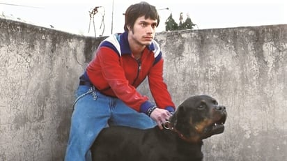 'Amores Perros' vuelve para el Día Nacional del Cine Mexicano