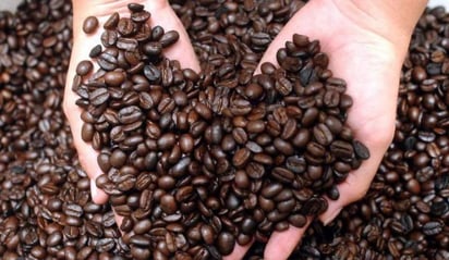 Honduras participará con 25 lotes de café en subasta Taza de Excelencia 2021