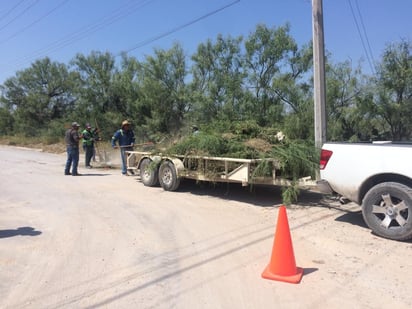 Las colonias de San Buena se continúan limpiando