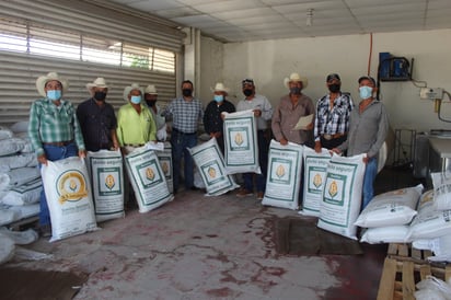 Productores de Castaños reciben semilla de zacate a bajo costo