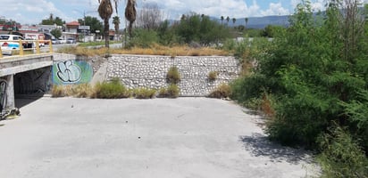 El arroyo de la avenida Obrero Unido en Monclova está convertido en selva urbana 