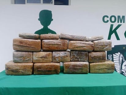 Agentes caninos detectan 130 kilos de marihuana en Xalapa