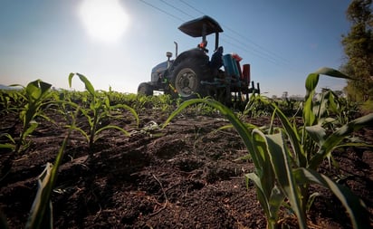 Ven menor presupuesto para sector agropecuario en 2022