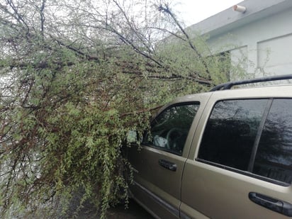 Lluvia sorprende a monclovenses