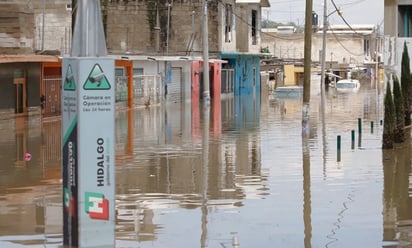 Inundación en Tula también afectó a los animales