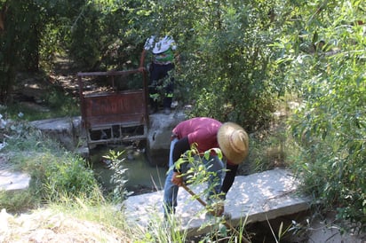 Ecología limpia usos de la saca de agua “San Buena”