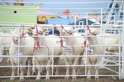 Hay interés comercial de Canadá por productos agropecuarios de Coahuila