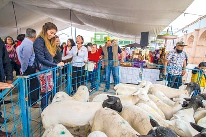 Habitantes de la región pueden unirse al próximo ´Tianguis Agropecuario´