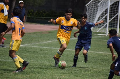 Premio Estatal del Deporte en puerta