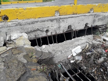 Mujer rescata a gatito recién nacido de una alcantarilla en Sabinas 