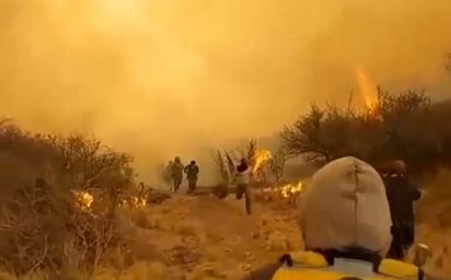 Incendios forestales arrasan miles de hectáreas en el centro de Argentina