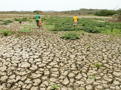 Fondo Verde otorga 174.3 millones de dólares a Corredor Seco Centroamericano