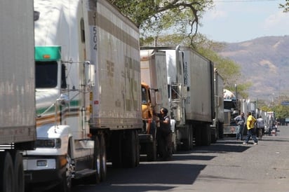 Importantes pérdidas económicas dejan caídas del sistema de la aduana: Transportistas