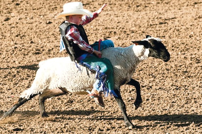 'Monclova de Roll' prepara rodeo infantil con animales de granja