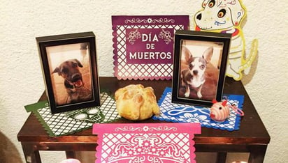 Recuerdan con ofrendas a sus perritos en Neza