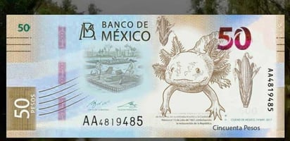 Presentan este jueves nueve billete de 50 pesos