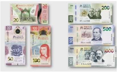 Cambian a Morelos por un ajolote mexicano en billete