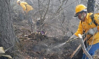 Iniciativa contempla ley para aplicar fuertes multas a quien provoque incendios