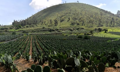 Suman 17 heridos tras explosión de toma clandestina en Puebla