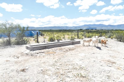 Regidor: Presupuesto para el campo de Coahuila no es suficiente