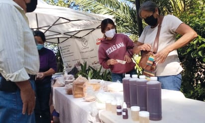 Mujeres crean empresa en su ejido ante la falta de recursos