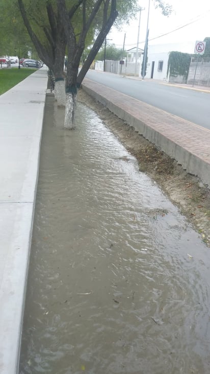 En San Buena fortalecen la Alameda Juárez con riego natural