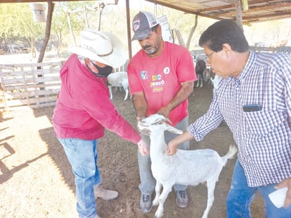 San Buena termina campaña de sanidad animal