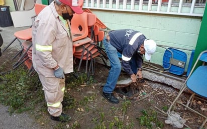 Brindan mantenimiento a 36 escuelas públicas en Miguel Hidalgo