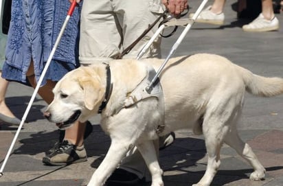 La escuela de perros guía en Piedras Negras, en riesgo por falta de recursos