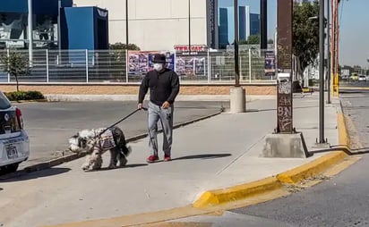 Continúan a la baja los contagios por Covid en SLP