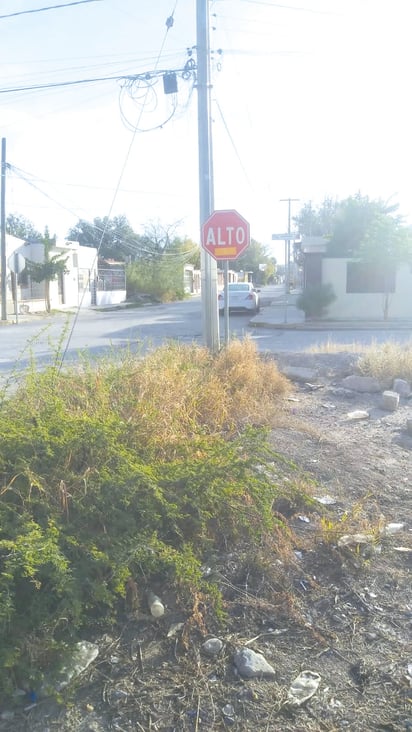 En San Buena limpian espacios de señalamientos