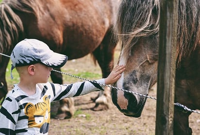 Programa de equino terapia organiza baile con causa para niños con discapacidad