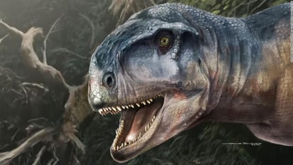 Un embrión de dinosaurio exquisitamente conservado revela una extraña postura