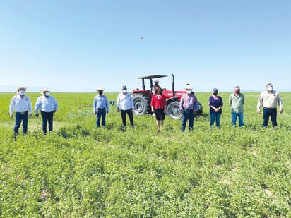 San Buenaventura conserva vocación agrícola y ganadera