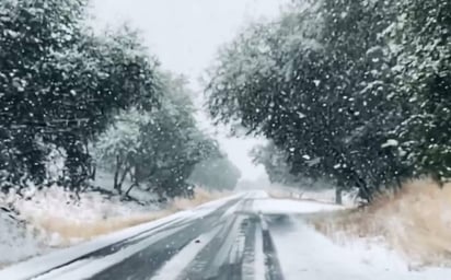 Sonora recibirá Año Nuevo muy frío; habrá lluvias y nevadas