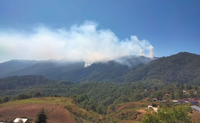 Incendio forestal avanza en Yosoyuxi, en la Mixteca de Oaxaca