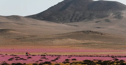 El agua del Amazonas llega hasta el árido desierto de Atacama