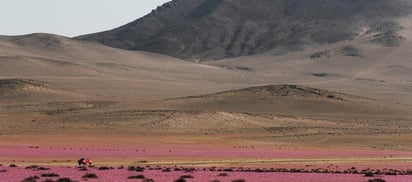 El agua del Amazonas llega hasta el árido desierto de Atacama