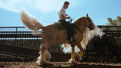 Así es el lujoso rancho del boxeador mexicano 'Canelo' Álvarez con valor de 30 mdp