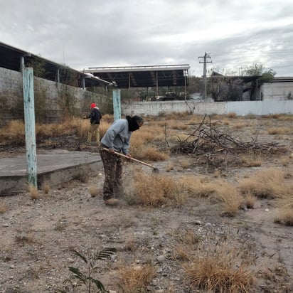 Escuelas de Monclova son objeto de limpieza y reforestación