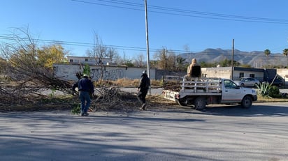 Departamento de Forestación realiza limpieza en calles de Monclova