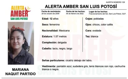 Lanzan Alerta Amber para localizar a niña desaparecida en San Luis Potosí