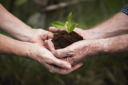 Nuevos enfoques sobre el uso de la tierra para lograr la sostenibilidad