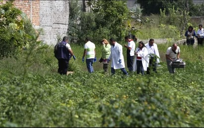 Abandonan cuerpo de recién nacido en campos agrícolas de Guasave 