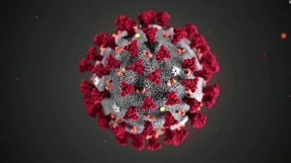 Experimento italiano con otra proteína del coronavirus resulta 'eficaz'