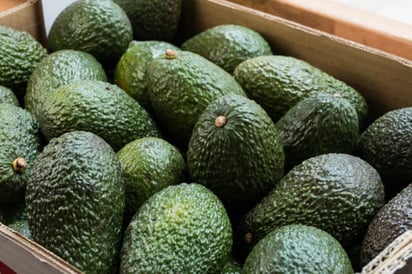 EU suspende envíos de aguacate mexicano